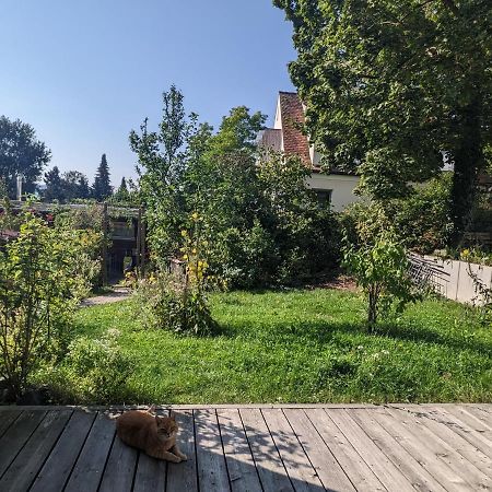 Wohnung Mit Terrasse Und Eigenem Parkplatz Nabburg Eksteriør billede